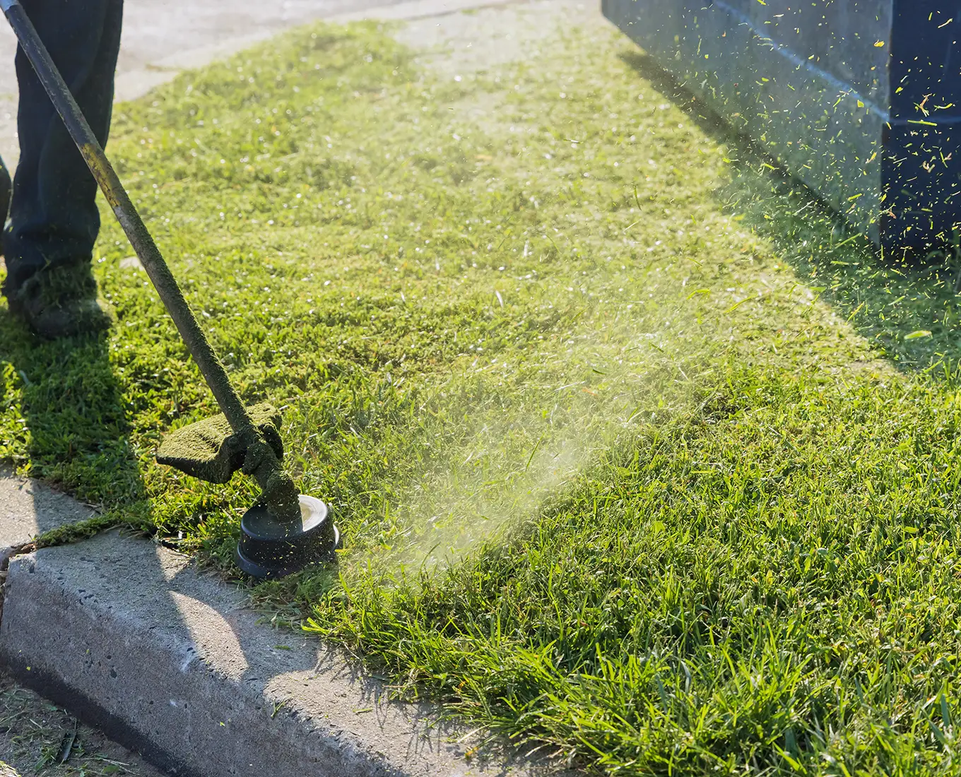 Lawn Maintenance Programs provided by by Arizmendi Brothers in edwardsville il
