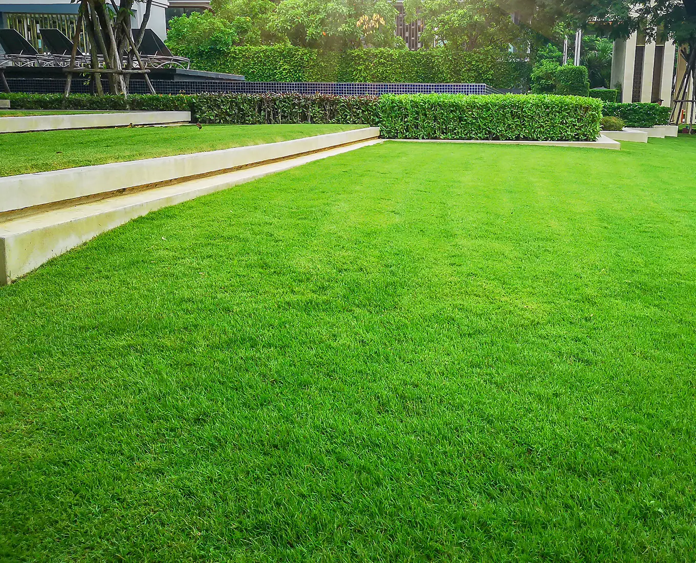 Arizmendi Brothers Keeping Lawns Healthy Year-Round in edwardsville il